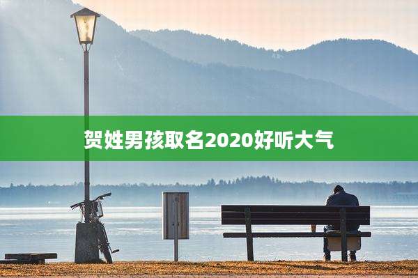 贺姓男孩取名2020好听大气
