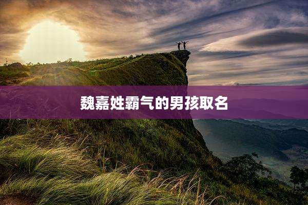 魏嘉姓霸气的男孩取名