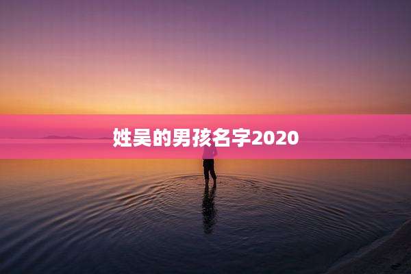 姓吴的男孩名字2020