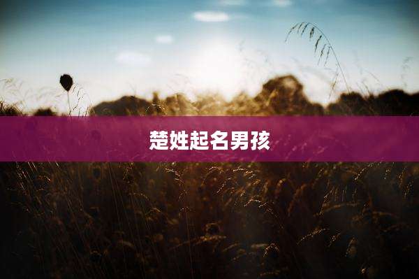 楚姓起名男孩