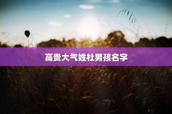 高贵大气姓杜男孩名字