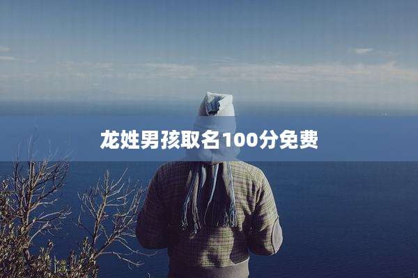 龙姓男孩取名100分免费