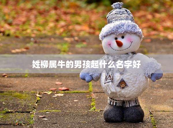 姓柳属牛的男孩起什么名字好