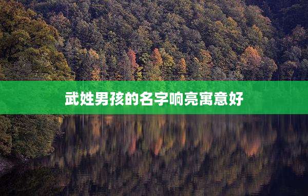 武姓男孩的名字响亮寓意好