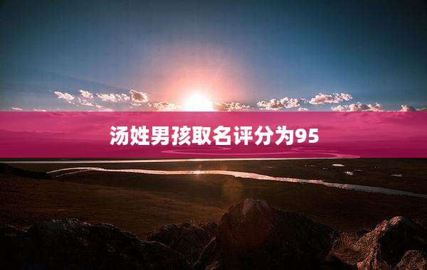 汤姓男孩取名评分为95
