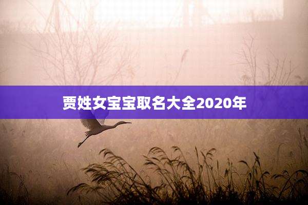 贾姓女宝宝取名大全2020年