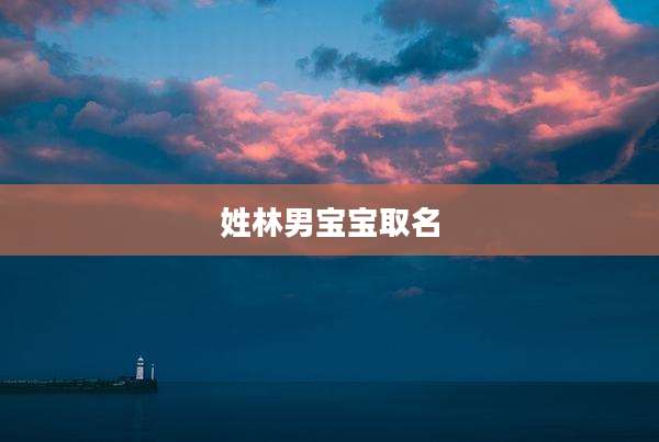 姓林男宝宝取名