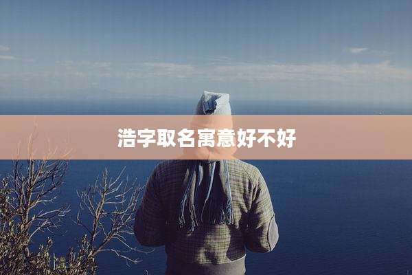 浩字取名寓意好不好