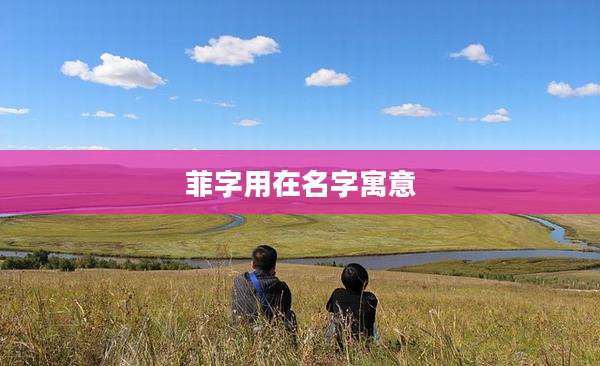 菲字用在名字寓意