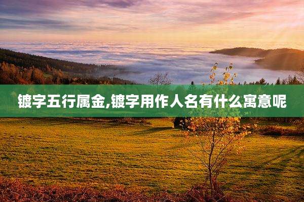 镀字五行属金,镀字用作人名有什么寓意呢