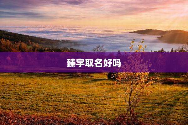 臻字取名好吗