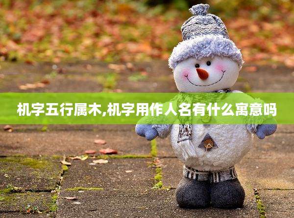 机字五行属木,机字用作人名有什么寓意吗