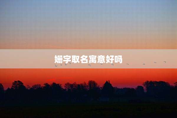 姗字取名寓意好吗