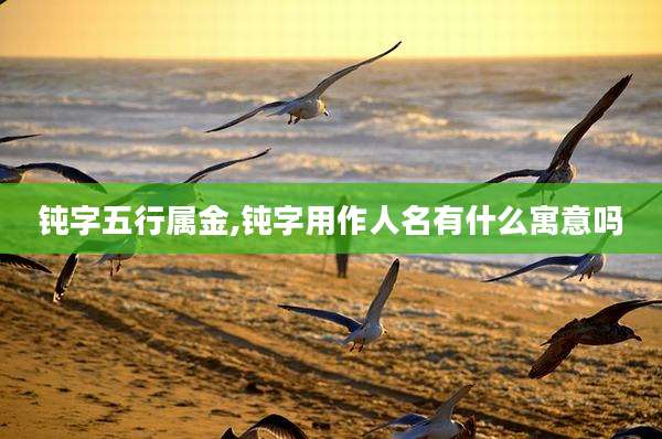 钝字五行属金,钝字用作人名有什么寓意吗