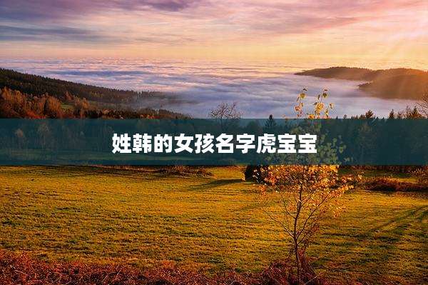 姓韩的女孩名字虎宝宝