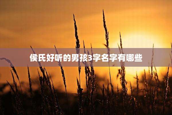 侯氏好听的男孩3字名字有哪些