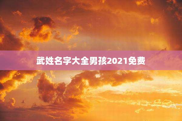 武姓名字大全男孩2021免费