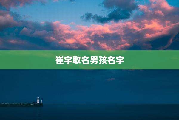 崔字取名男孩名字