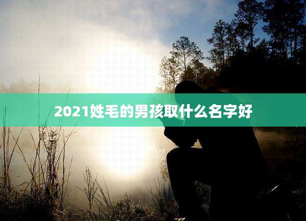 2021姓毛的男孩取什么名字好