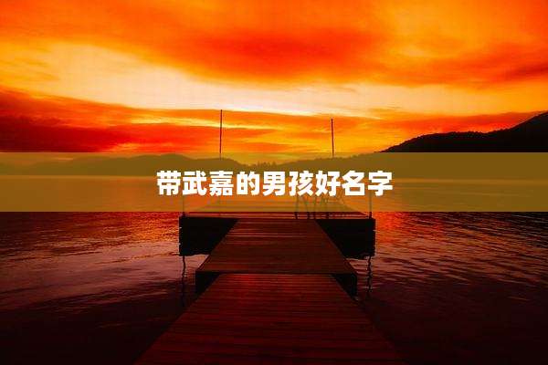 带武嘉的男孩好名字