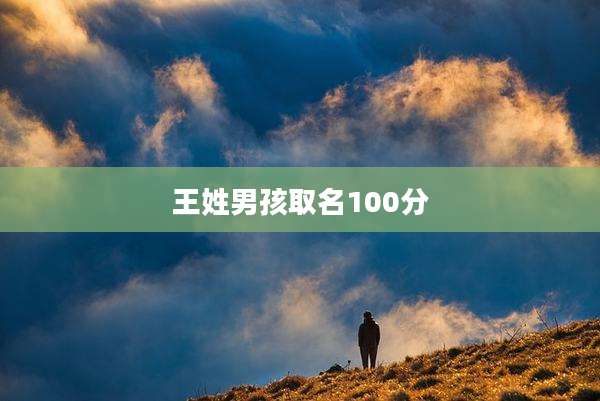 王姓男孩取名100分