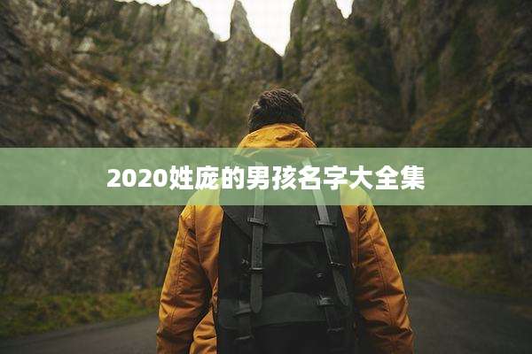 2020姓庞的男孩名字大全集