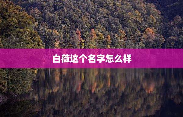 白薇这个名字怎么样