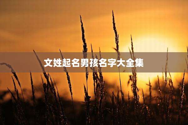 文姓起名男孩名字大全集
