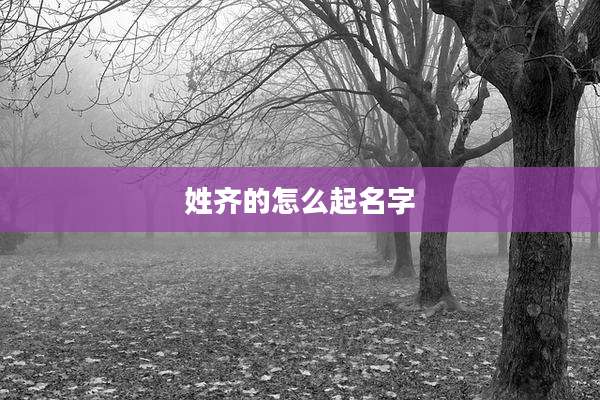 姓齐的怎么起名字