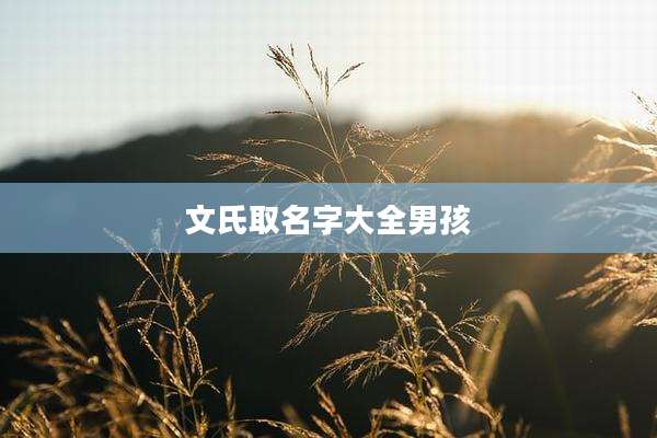 文氏取名字大全男孩