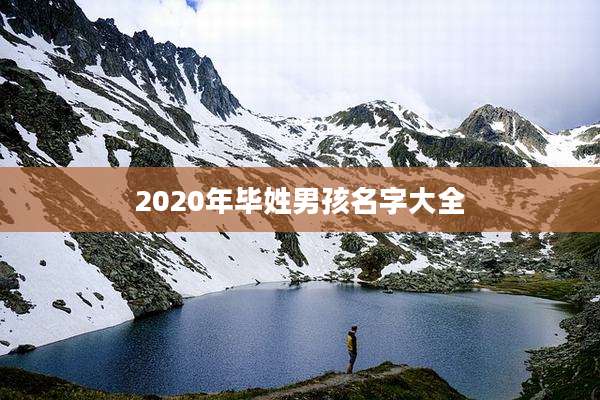 2020年毕姓男孩名字大全