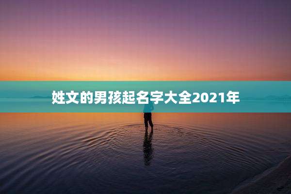 姓文的男孩起名字大全2021年