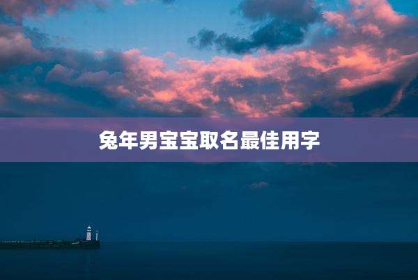 兔年男宝宝取名最佳用字