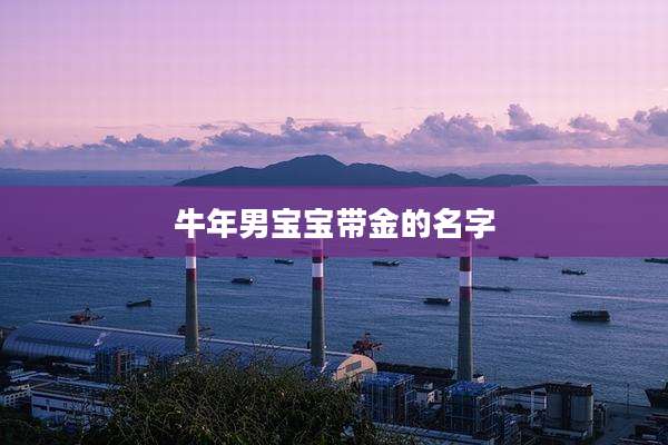 牛年男宝宝带金的名字