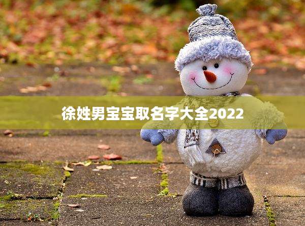 徐姓男宝宝取名字大全2022