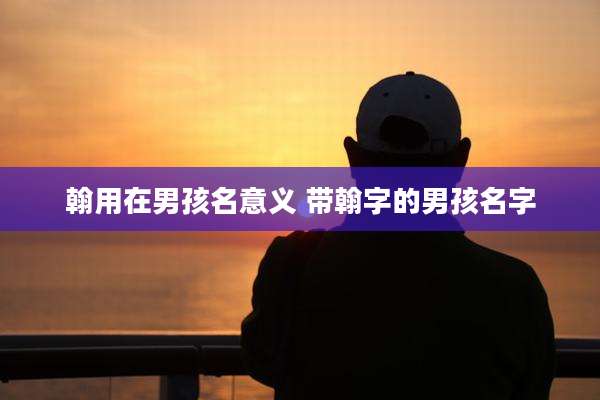 翰用在男孩名意义 带翰字的男孩名字