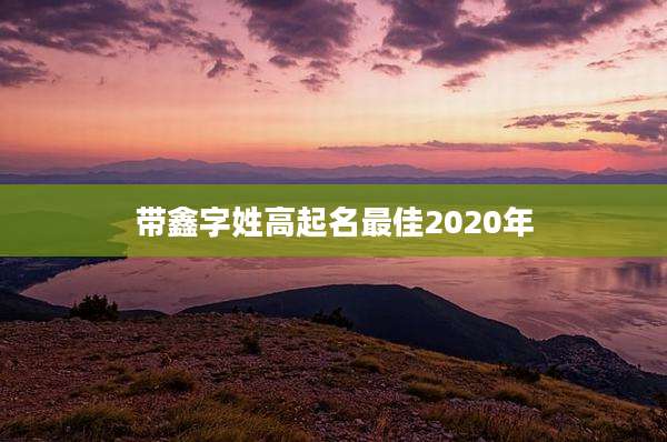 带鑫字姓高起名最佳2020年