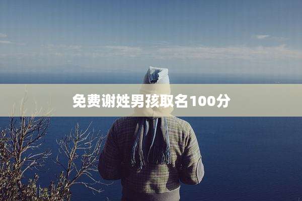 免费谢姓男孩取名100分
