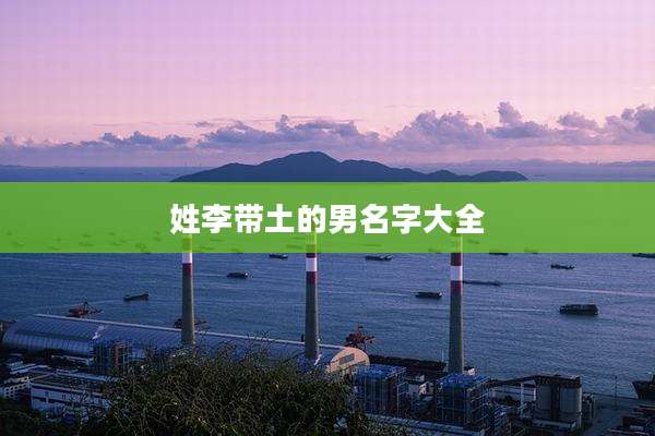 姓李带土的男名字大全