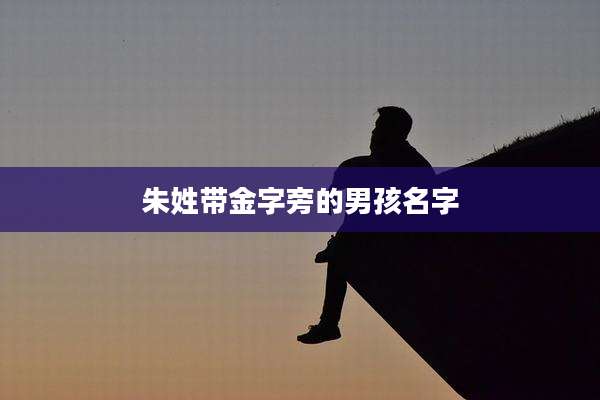朱姓带金字旁的男孩名字