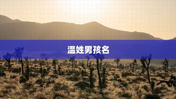 温姓男孩名
