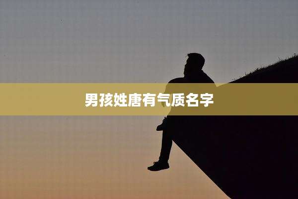 男孩姓唐有气质名字