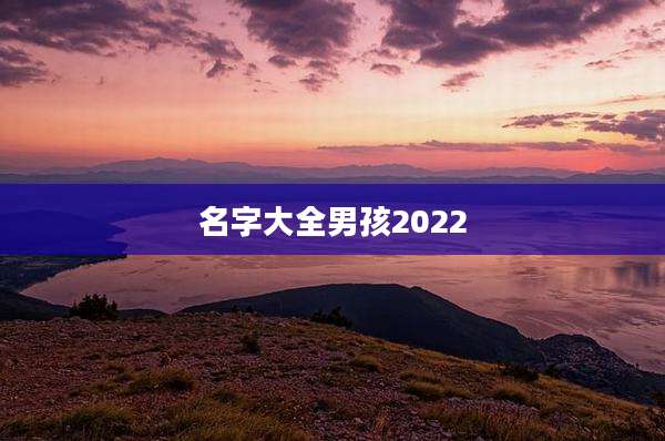 名字大全男孩2022