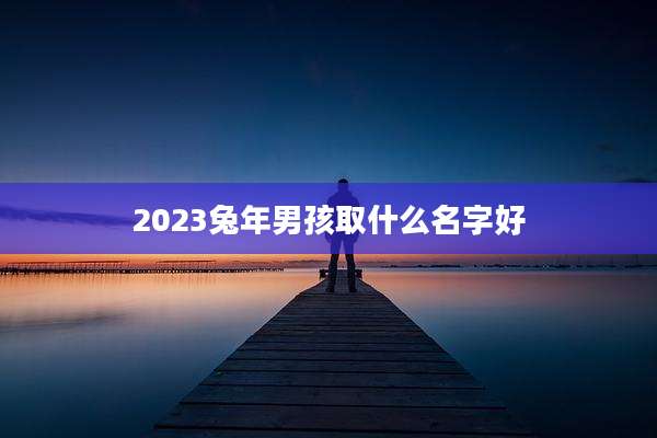 2023兔年男孩取什么名字好