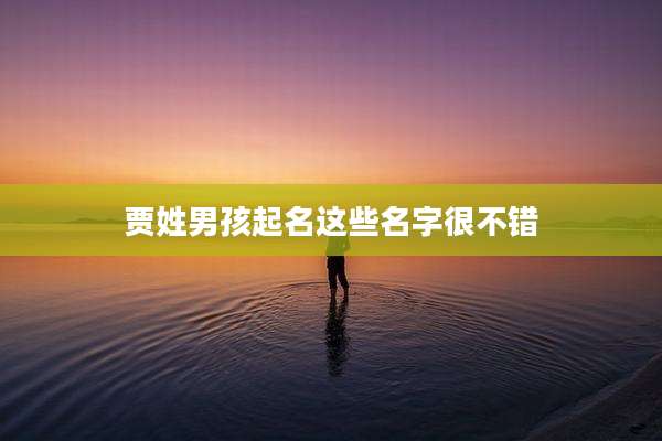 贾姓男孩起名这些名字很不错