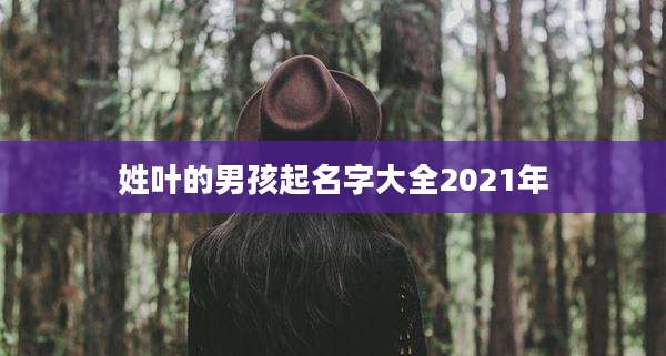 姓叶的男孩起名字大全2021年