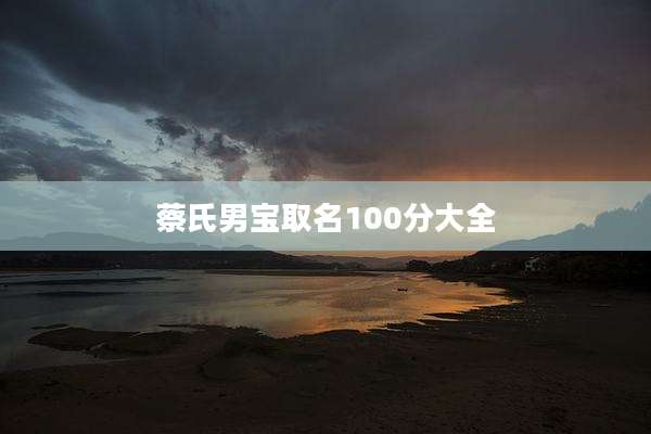蔡氏男宝取名100分大全