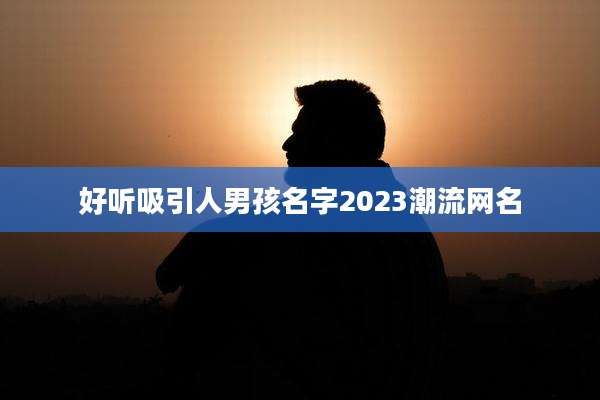 好听吸引人男孩名字2023潮流网名