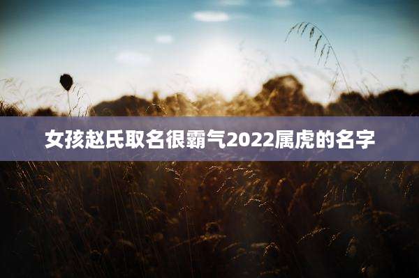 女孩赵氏取名很霸气2022属虎的名字