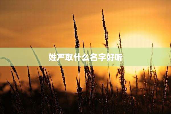 姓严取什么名字好听